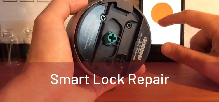Smart Lock Repair